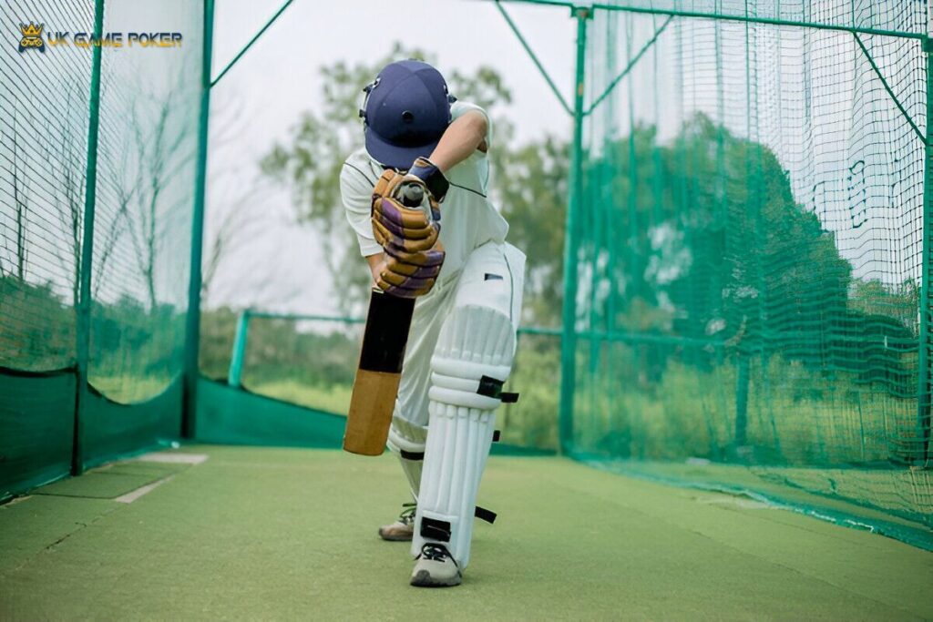 cricket exceed